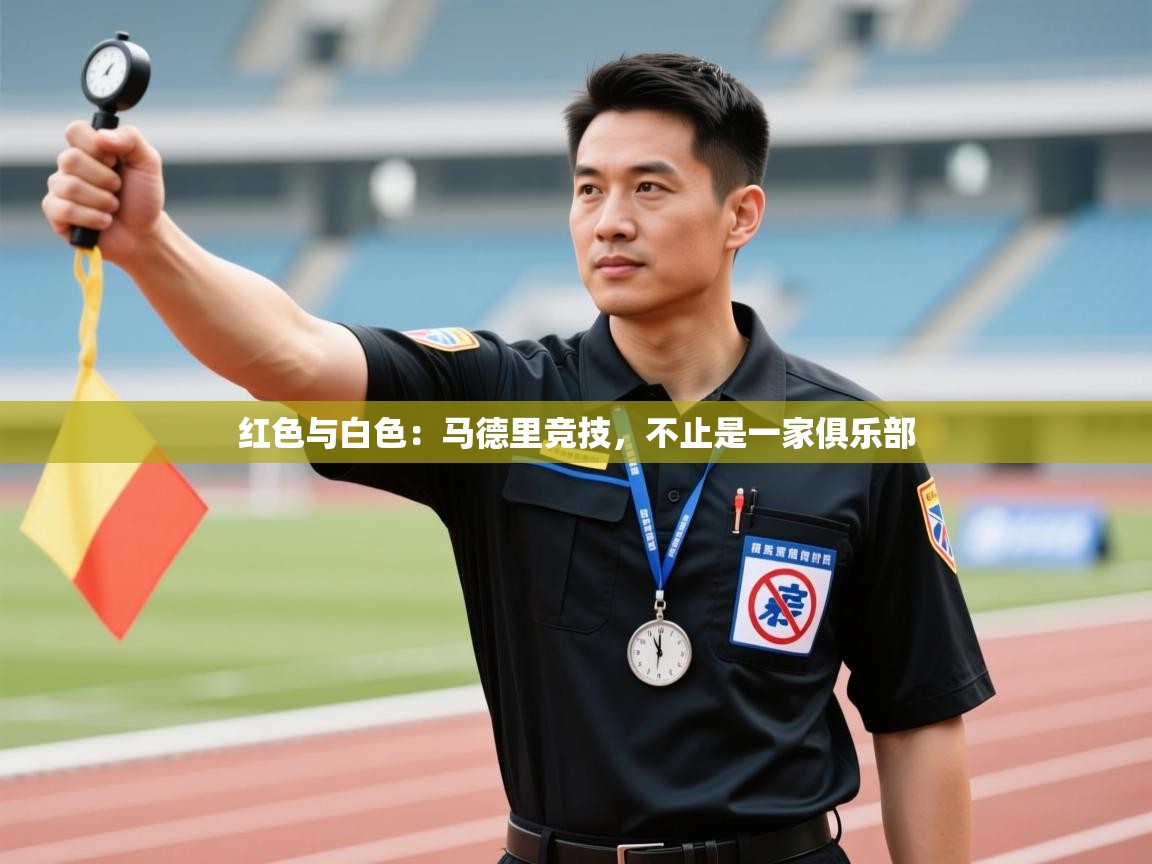 红色与白色:马德里竞技,不止是一家俱乐部 第2张